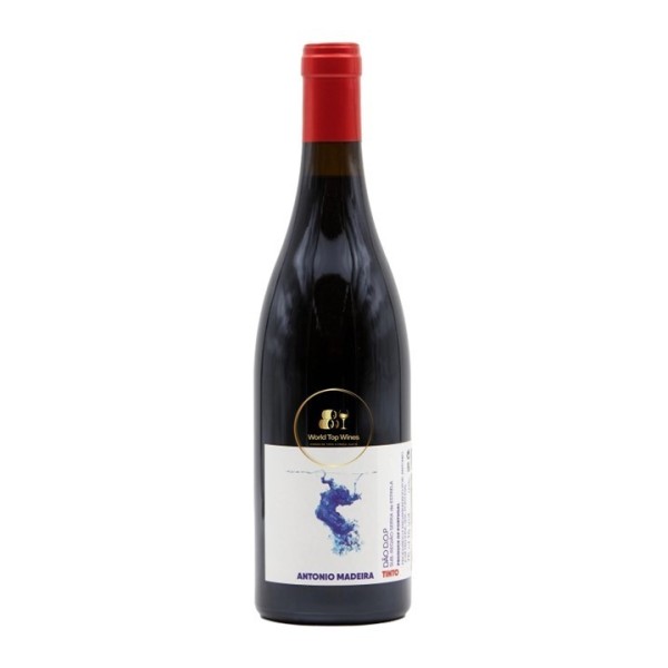 António Madeira Red 2022