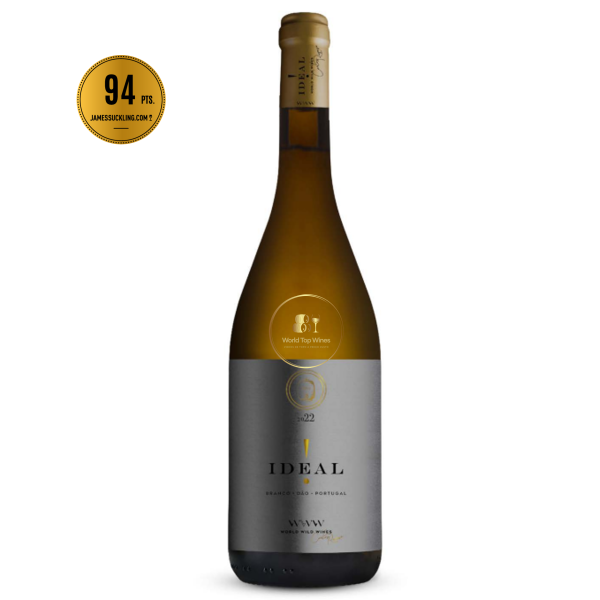 Ideal Branco Carlos Raposo 2022