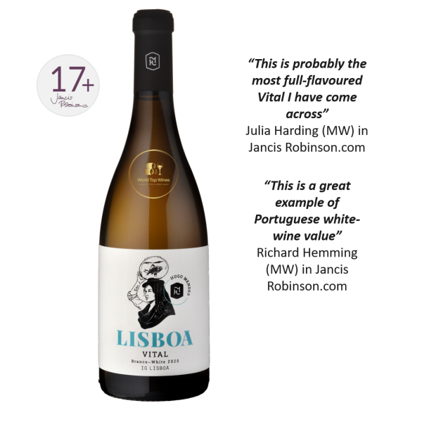 Hugo Mendes Vital Branco 2020